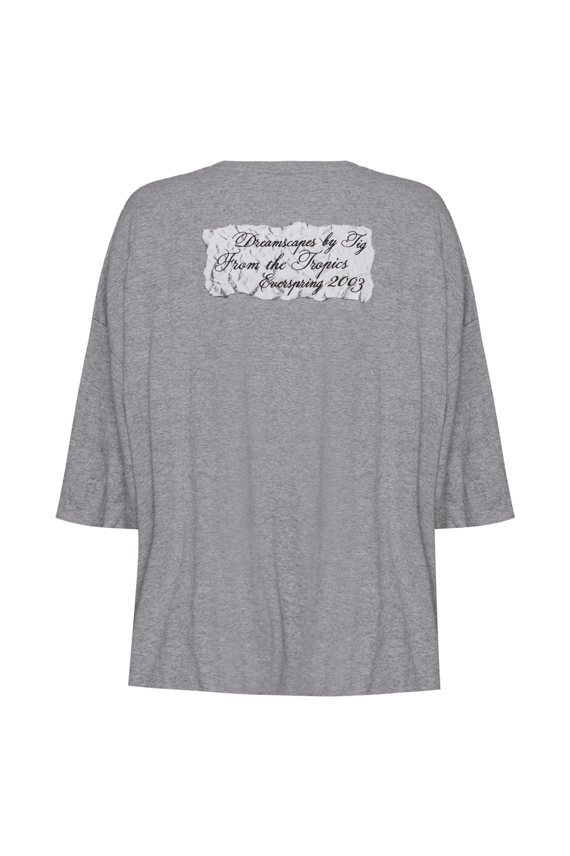 CAMISETA AMPLA BALONÊ CINZA MESCLA (8950207873251)