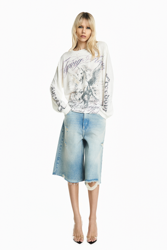 CAMISETA PEGASUS MANGA LONGA PEDRAS