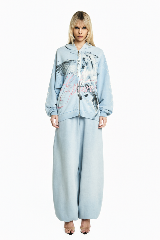 BLUSA MOLETOM ZÍPER CAPUZ PEGASUS AZUL