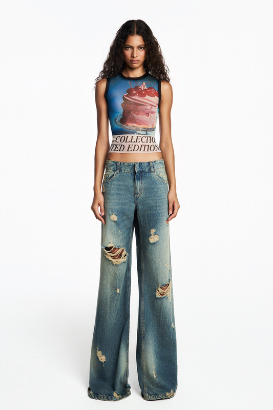 BLUSA SEM MANGA TULE CHERRY CAKE JORNAL